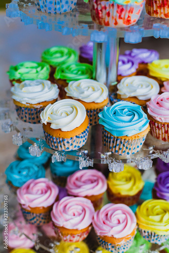 Colorful Pastel Cupcakes Buttercream for Wedding Decorate in Wedding Ceremony.