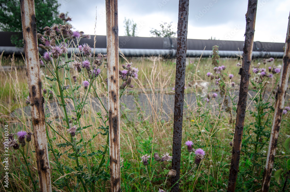 Fototapeta premium View through rusty metal fence of abandoned site of former steelworks