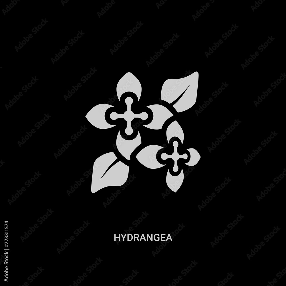 white hydrangea vector icon on black background. modern flat hydrangea from nature concept vector sign symbol can be use for web, mobile and logo. white hydrangea vector icon on black background. modern flat hydrangea from nature concept vector sign symbol can be use for web, mobile and logo.
