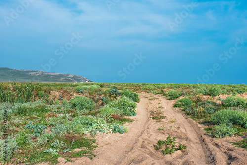 Crimea nature reserve - the road to traveln photo