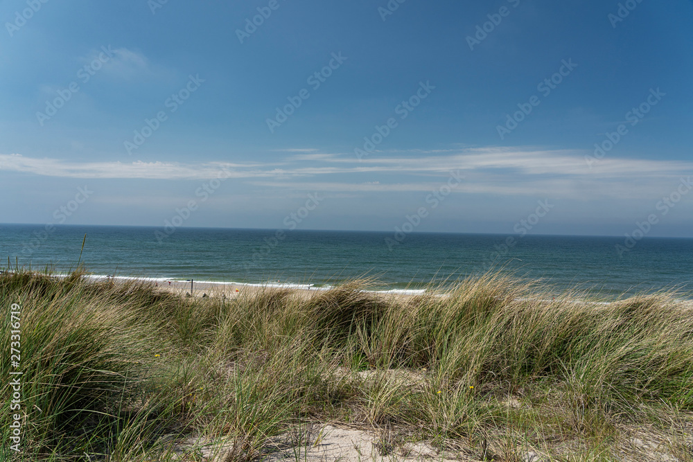 Sylt - View to Grass Dunes and Beach at Wenningstedt / Germany