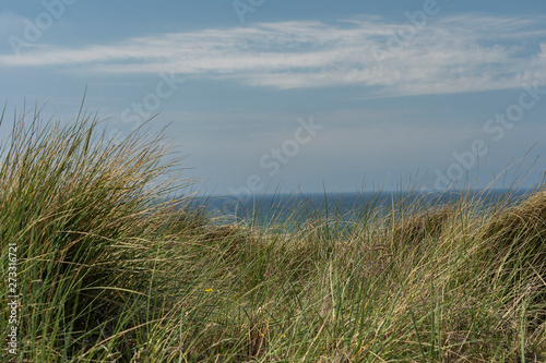 Sylt - Close-Up to Grass Dunes and Beach at Wenningstedt / Germany