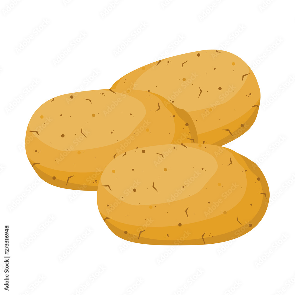 Raw potatoes vector illustration. on white BG Raw potatoes vector illustration. on white BG