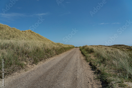 Sylt - View grass dunes alongside to hiking path    Germany