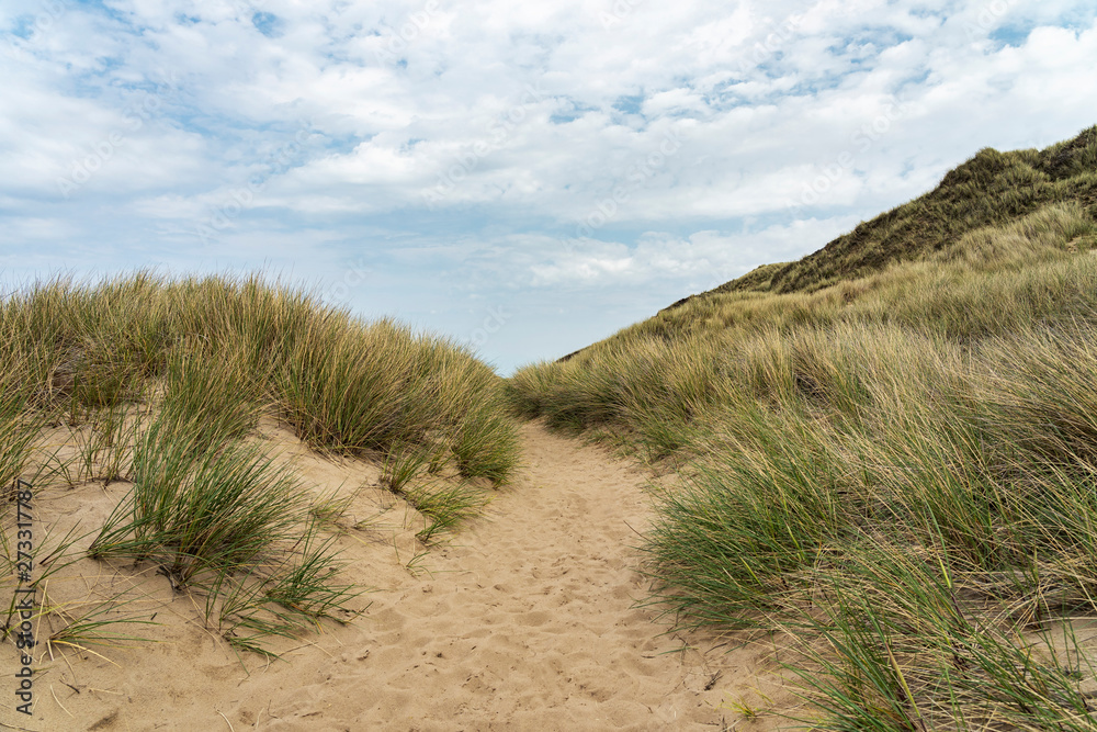 Sylt - View to Grass- and Sand-Dunes at Kampen Cliff / Germany Sylt - View to Grass- and Sand-Dunes at Kampen Cliff / Germany