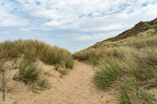 Sylt - View to Grass- and Sand-Dunes at Kampen Cliff   Germany