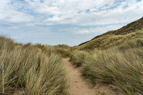 Sylt - View to Grass- and Sand-Dunes at Kampen Cliff   Germany