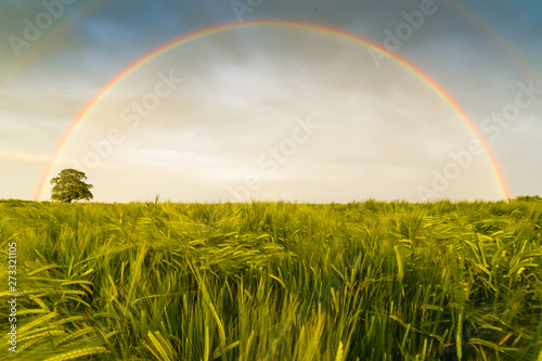 Obraz na płótnie A double rainbow - Northamptonshire w salonie