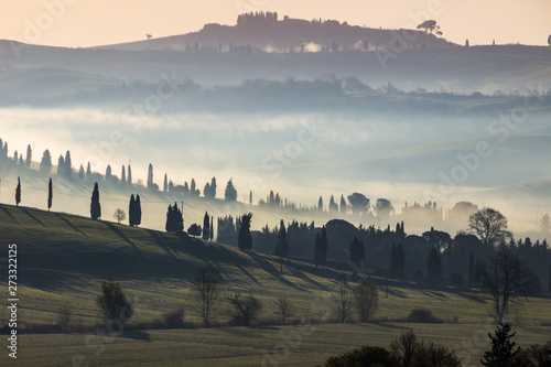 Fototapeta Naklejka Na Ścianę i Meble -  sunrise and fog in Tuscany