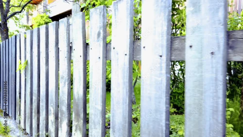 Walking by old style garden wooden fence. Slowmotion footage shot at 4k. Space for promotional text. Walking by old style garden wooden fence. Slowmotion footage shot at 4k. Space for promotional text.