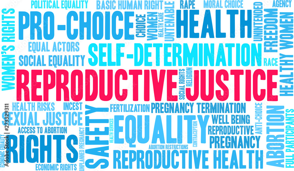Reproductive Justice Word Cloud on a white background. 