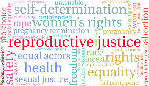 Reproductive Justice Word Cloud on a white background. 