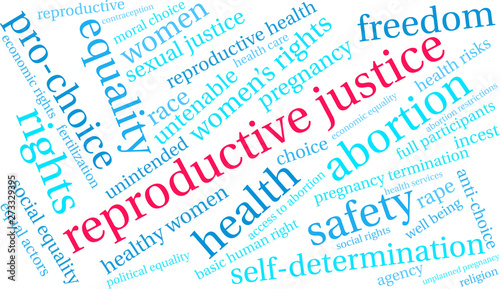 Reproductive Justice Word Cloud on a white background. 