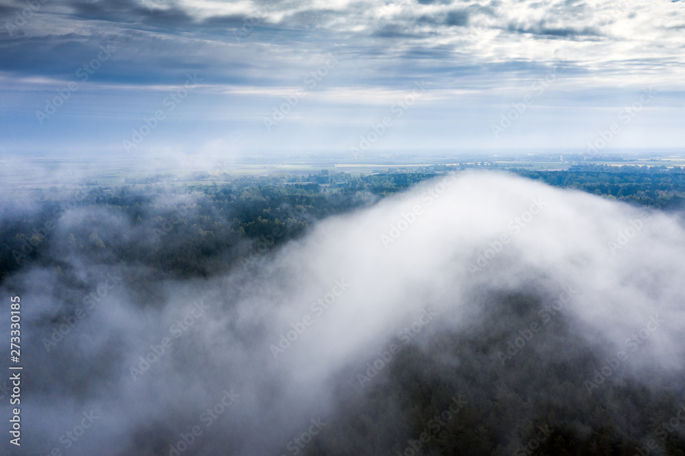 Foggy morning on forests in fields .