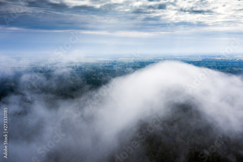 Foggy morning on forests in fields .