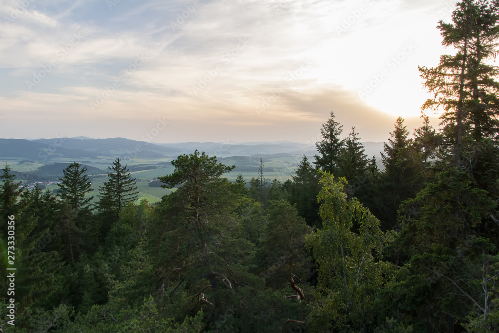 Nice sunset with trees and valley, czech landscape
