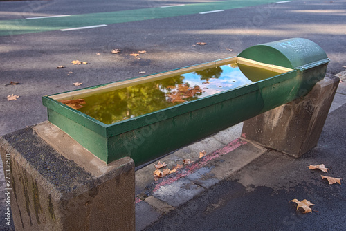 A green horse water trough filled with water on the street of Melbourne Australia