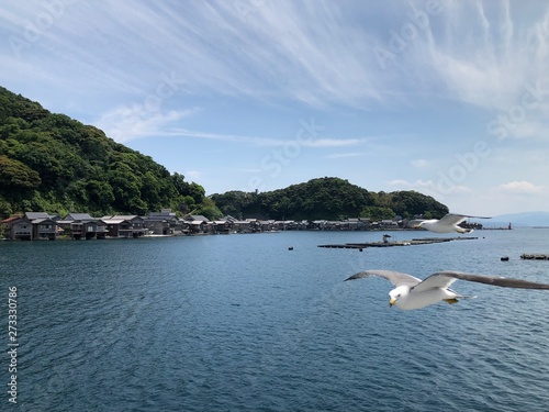 Japan Hyougo Kyotango Ine birds sea