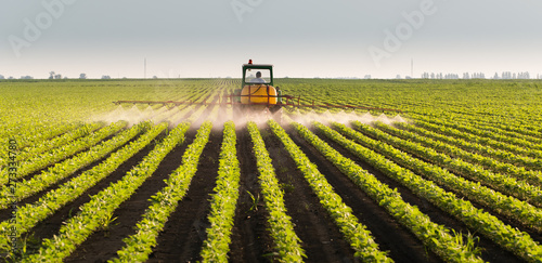 Tractor spraying soybean field