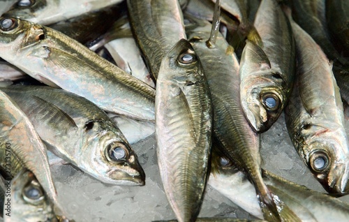 Macro of fresh silver fish at a food market