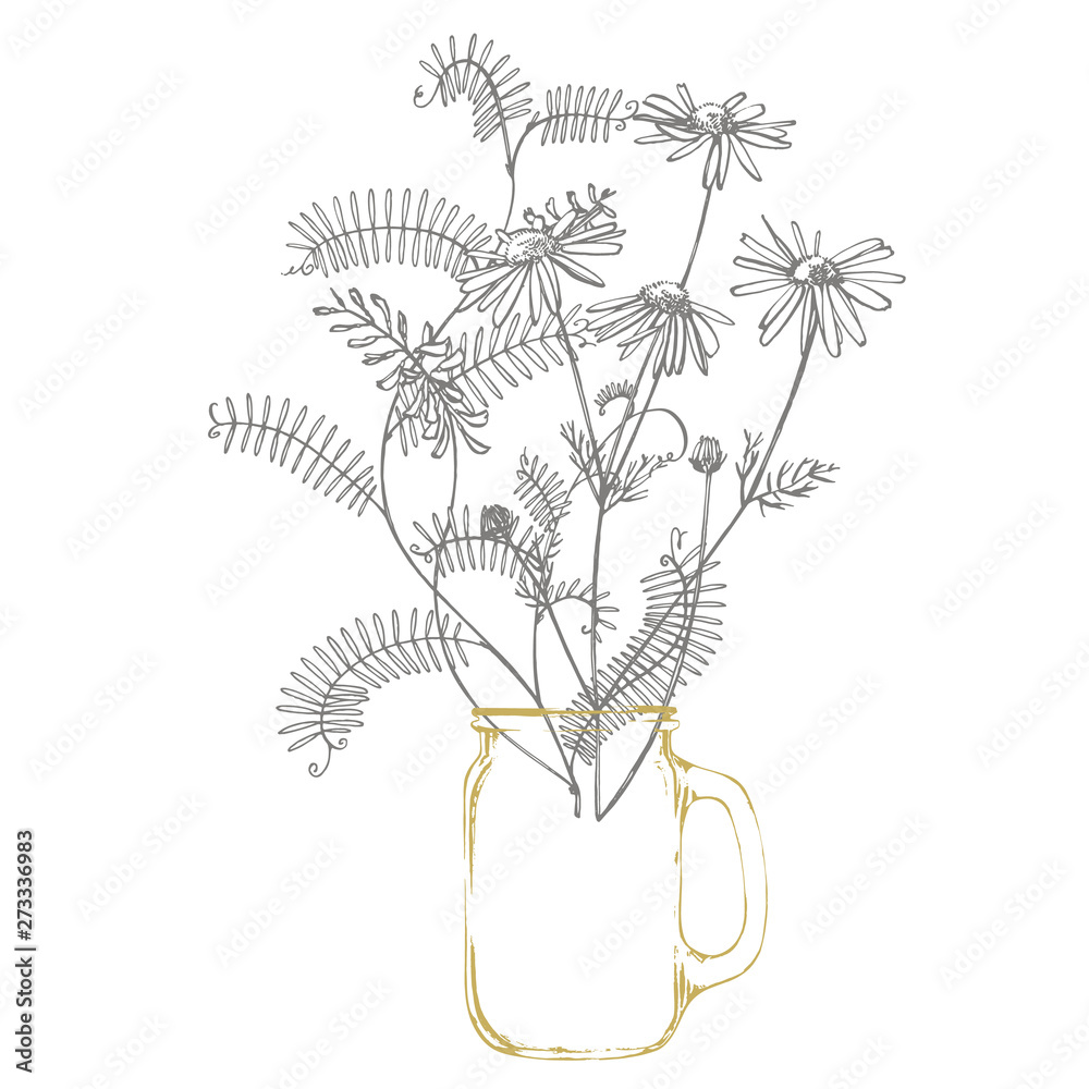 Obraz premium Branch of wild plant Vicia cracca. Tufted Vetch or Vicia cracca, vintage engraved illustration. Bouquet of hand drawn flowers and herbs. Botanical plant illustration.