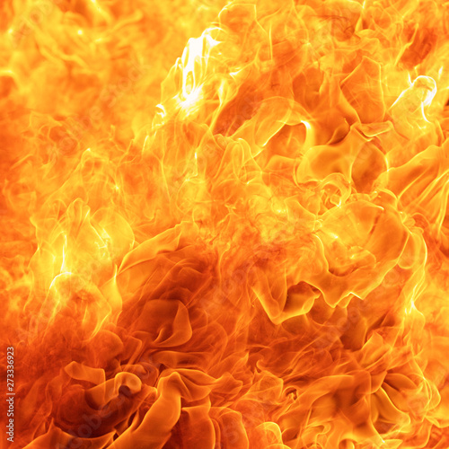 abstract blow up blaze, flame, fire element for use as a texture background design concept, square ratio, 1x1