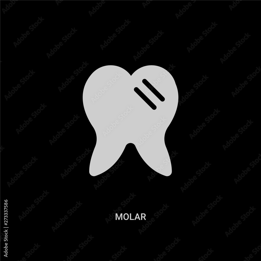 white molar vector icon on black background. modern flat molar from medical concept vector sign symbol can be use for web, mobile and logo. white molar vector icon on black background. modern flat molar from medical concept vector sign symbol can be use for web, mobile and logo.