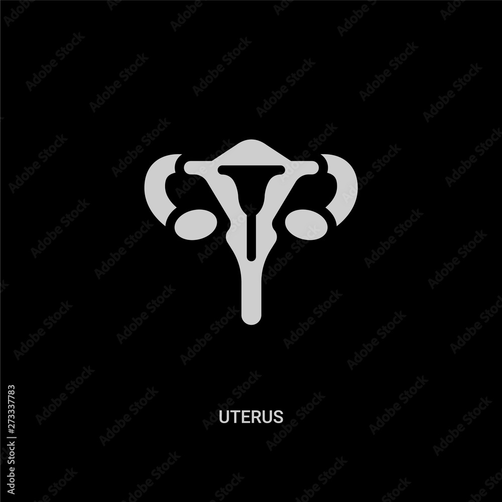 Human Anatomy. Uterus Sign. Vector. White Icon With Soft Shadow On  Transparent Background. Royalty Free SVG, Cliparts, Vectors, and Stock  Illustration. Image 80931132.