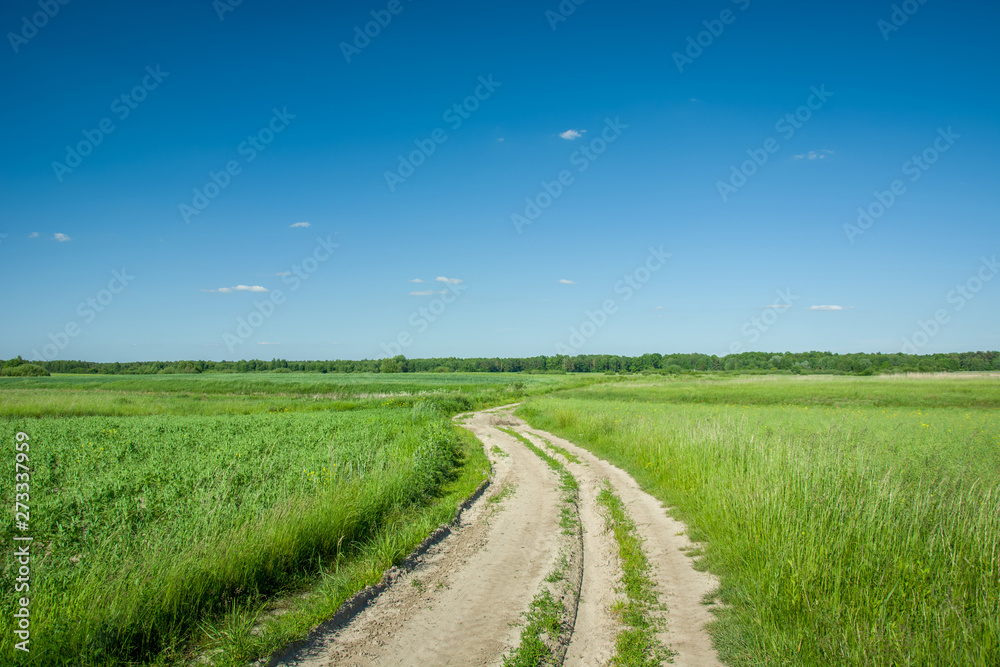 Winding sandy road through green fields and meadows, forest on the horizon and blue sky