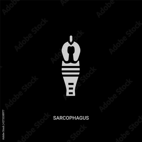 white sarcophagus vector icon on black background. modern flat sarcophagus from museum concept vector sign symbol can be use for web, mobile and logo.