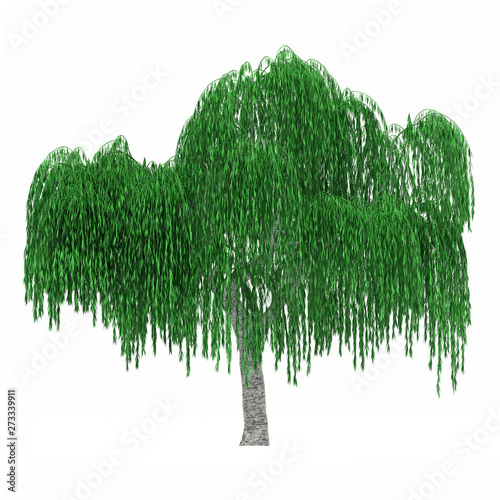 Tree isolated on white background for graphic decoration, suitable for both web and print media 