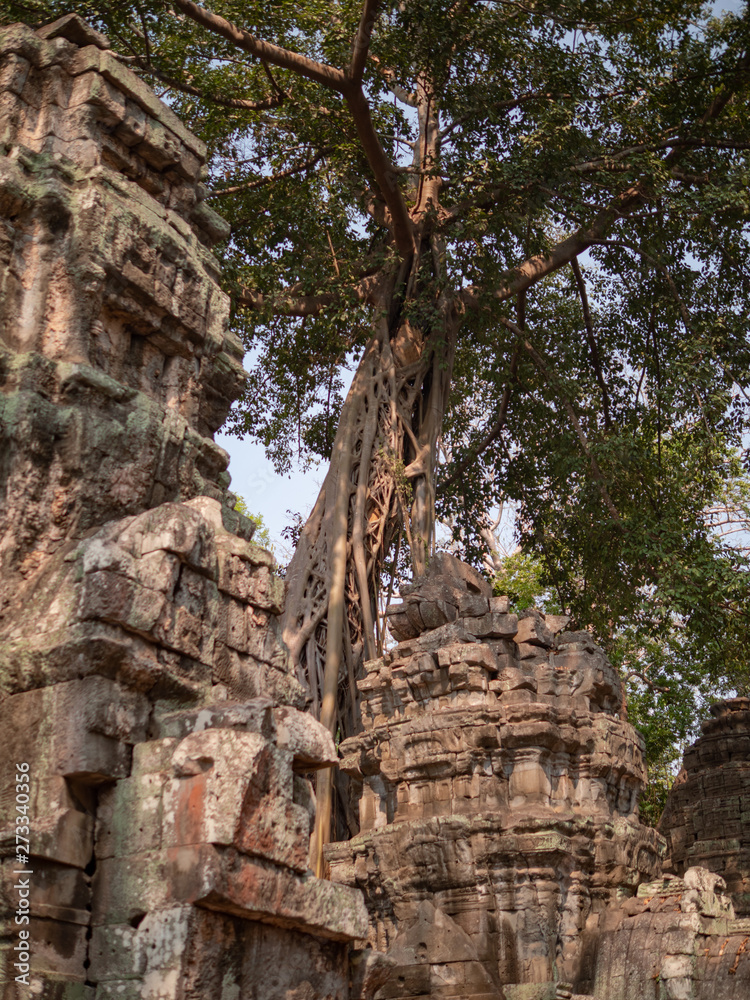 Temples at Angkor Wat in Siem Reap, Cambodia