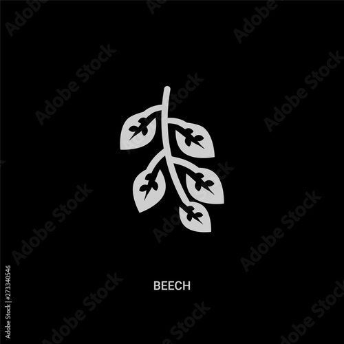 white beech vector icon on black background. modern flat beech from nature concept vector sign symbol can be use for web, mobile and logo.