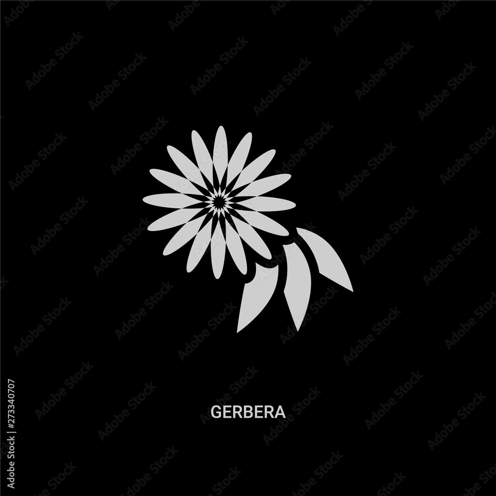 white gerbera vector icon on black background. modern flat gerbera from nature concept vector sign symbol can be use for web, mobile and logo. white gerbera vector icon on black background. modern flat gerbera from nature concept vector sign symbol can be use for web, mobile and logo.