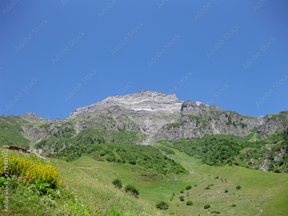 Mountain in the swiss alps on a sunny summer day