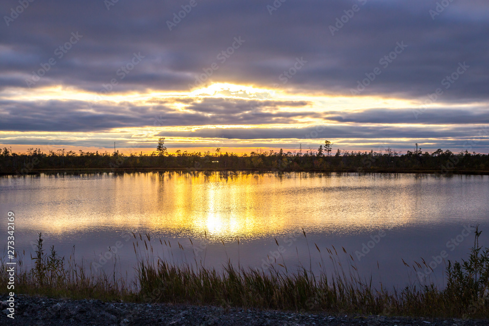 evening landscape at sunset lake among the northern vegetation