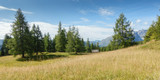 Panorama einer Bergwiese mit Almhütte im Hintergrund