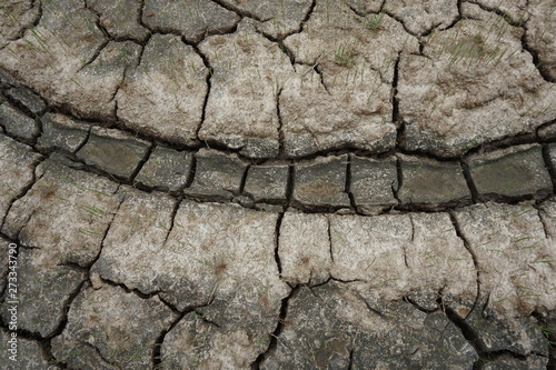 cracked earth texture