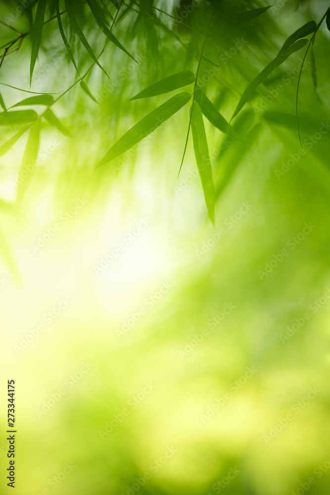 Nature of green leaf in garden at summer. Natural green leaves plants using  as spring background cover page greenery environment ecology wallpaper  Stock Photo | Adobe Stock