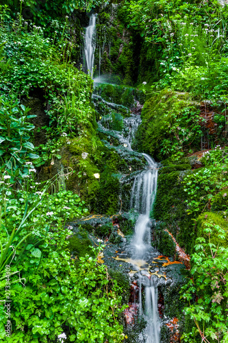 Reine Bergquelle zwischen grünen Felsen