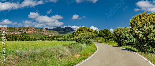 Landstrasse in sommerlicher Landschaft