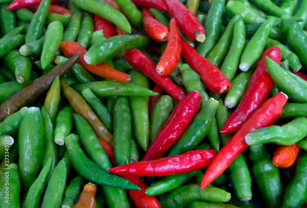 Organic red and green bird's eye chili, bird eye chili, bird's chili, chile de arbol, or Thai chili is a chili pepper, a cultivar from the species Capsicum annuum, commonly found in Southeast Asia.