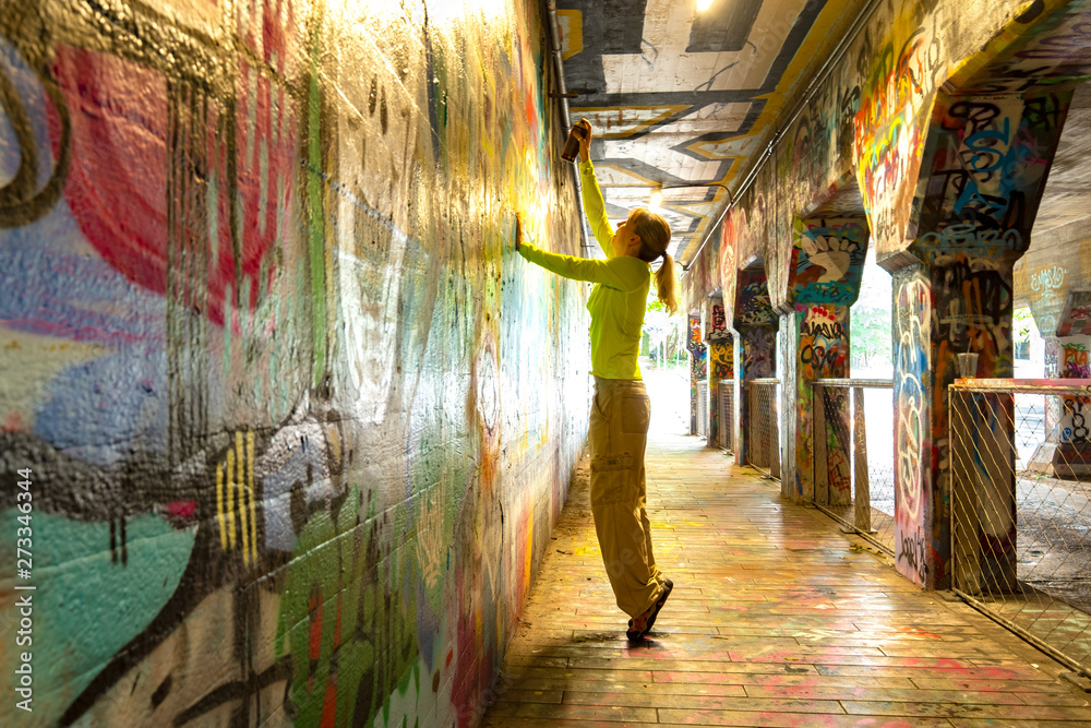 Fototapeta premium Malowanie natryskowe Graffiti w tunelu Krog Street, Atlanta, Georgia