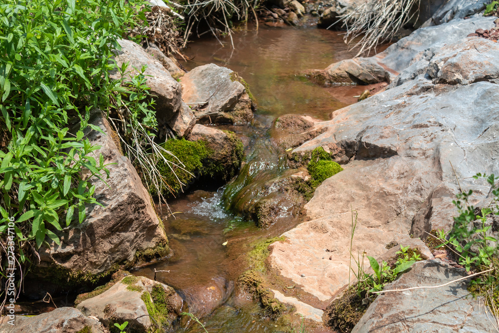 Beautiful Scene of Small Creek With Small Waterfall in The Forest Beautiful Scene of Small Creek With Small Waterfall in The Forest
