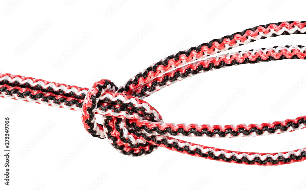 Bowline on a bight knot close up on rope