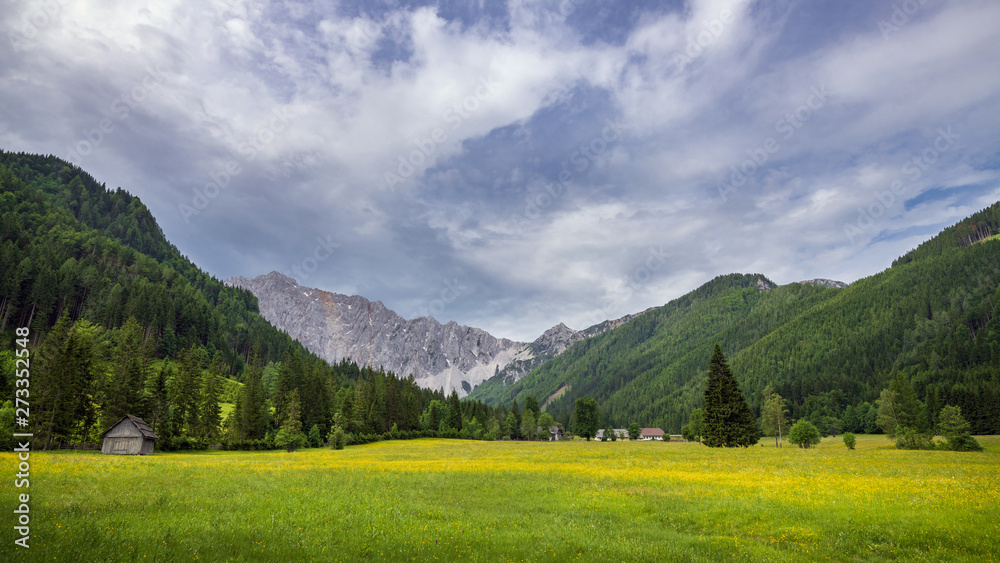 Landschaft in Kärnten, am Fuß der Karawanken, Österreich