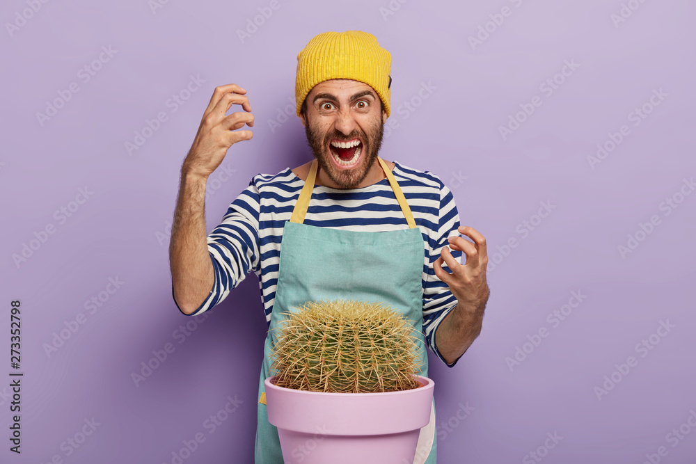 Annoyed man gardener cut finger with cactus thorn, stands near pot, wears casual hat, apron, gestures with anger, isolated over purple background. People, negative emotions, indoor plants concept Annoyed man gardener cut finger with cactus thorn, stands near pot, wears casual hat, apron, gestures with anger, isolated over purple background. People, negative emotions, indoor plants concept