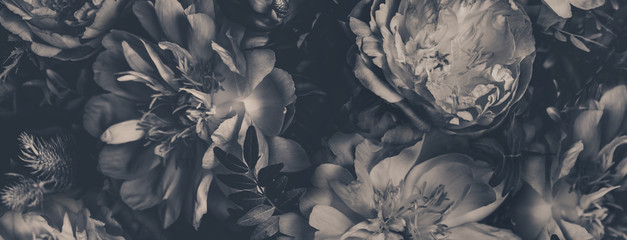 Vintage bouquet of peonies. Floristic decoration. Floral background. Black and white baroque old fashiones style image. Natural flowers pattern wallpaper or greeting card