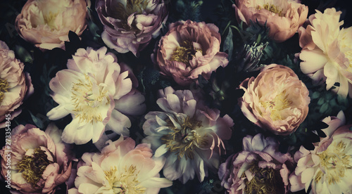 Vintage bouquet of beautiful peonies on black. Floristic decoration. Floral background. Baroque old fashiones style. Natural flowers pattern wallpaper or greeting card © Rymden