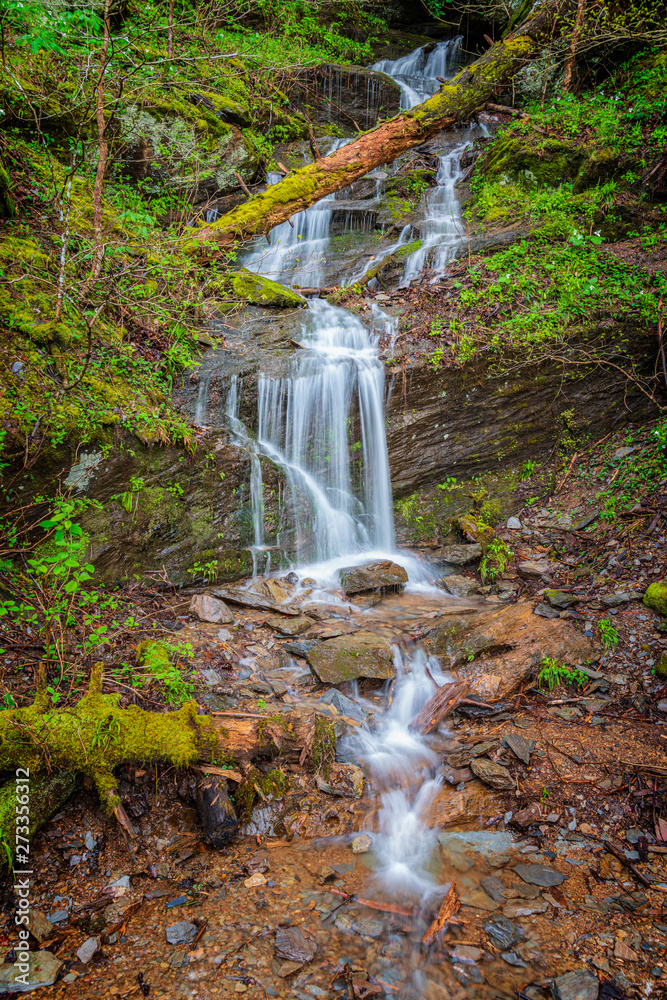 Obraz premium Little Smoky Mountain Waterfall in Spring